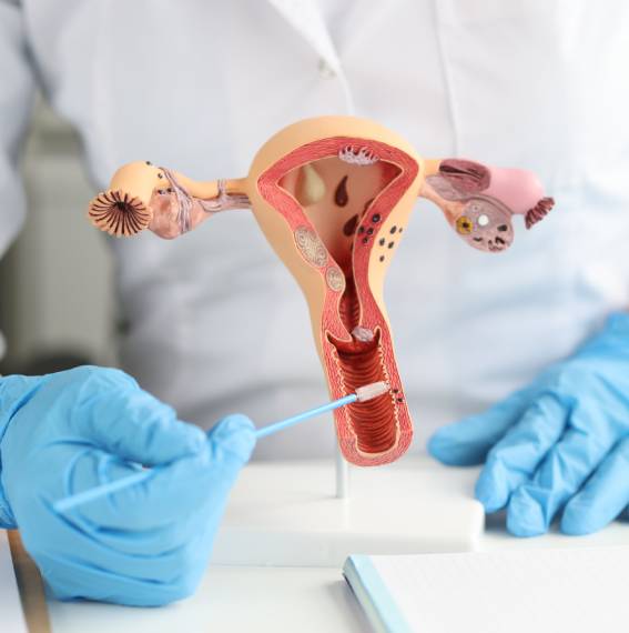 Especialidad en ginecología y obstetricia Monterrey